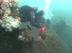 Duikers recreëren onder water bij een olieplatform in zee